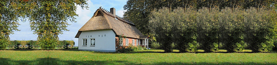 Das Hasenhaus - Liebevoll restaurierte Reetdachkate mit Blick auf die Flensburger Frde